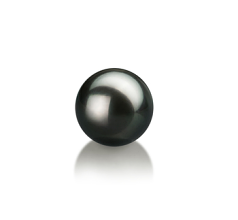 8-9mm Japanilainen Akoya Loose Pearl in Musta