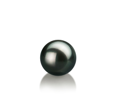 7-8mm Japanilainen Akoya Loose Pearl in Musta