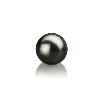 7-8mm Japanilainen Akoya Loose Pearl in Musta