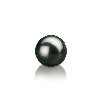 7-8mm Japanilainen Akoya Loose Pearl in Musta